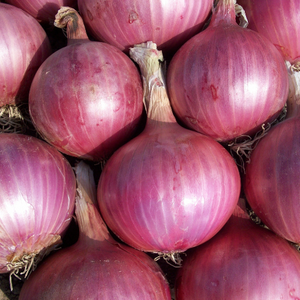 Organic small onion