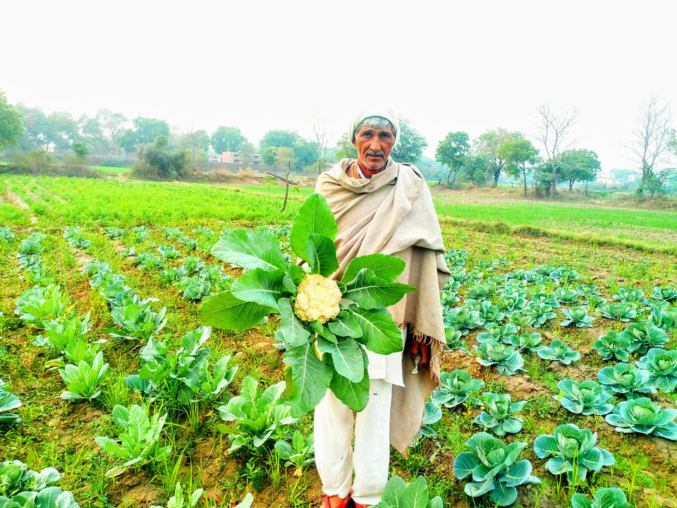 oraplanet farmers