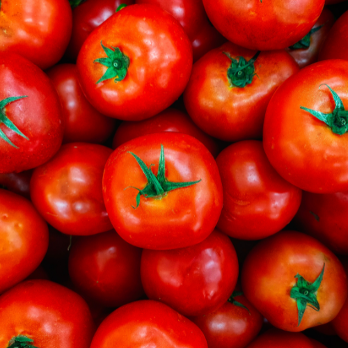 Organic Tomato