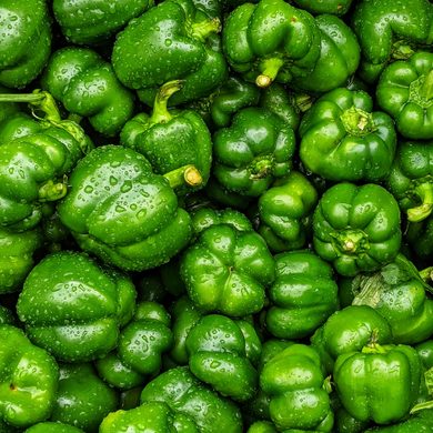 Organic Green Capsicum