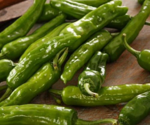 Organic Green Chilli