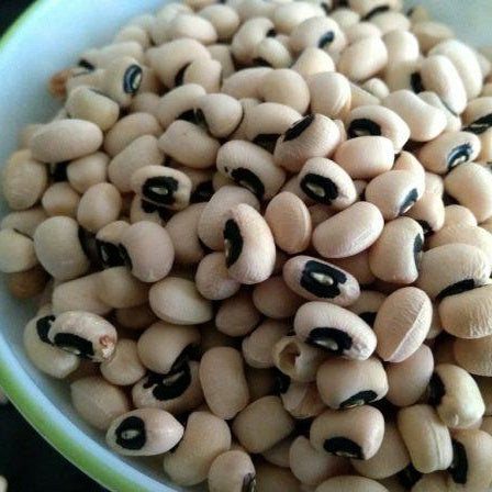 Lobia(Cowpea)